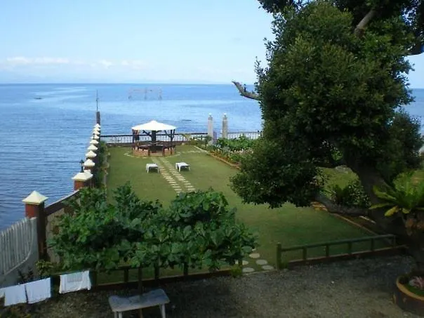 Bulls With Seaview