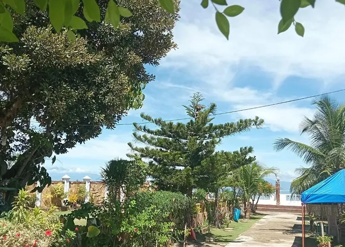 Bulls With Seaview